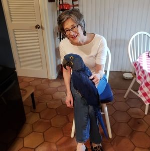 Meet your Posher, Mindy